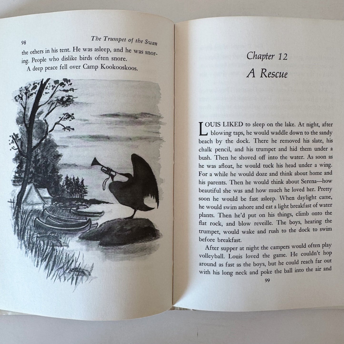 The Trumpet of the Swan, E.B. White, Hardcover 1970 - Pretty Old Books