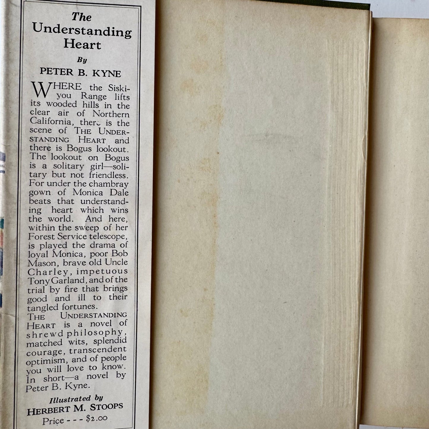 The Understanding Heart, Peter B. Kyne, 1926 - Pretty Old Books