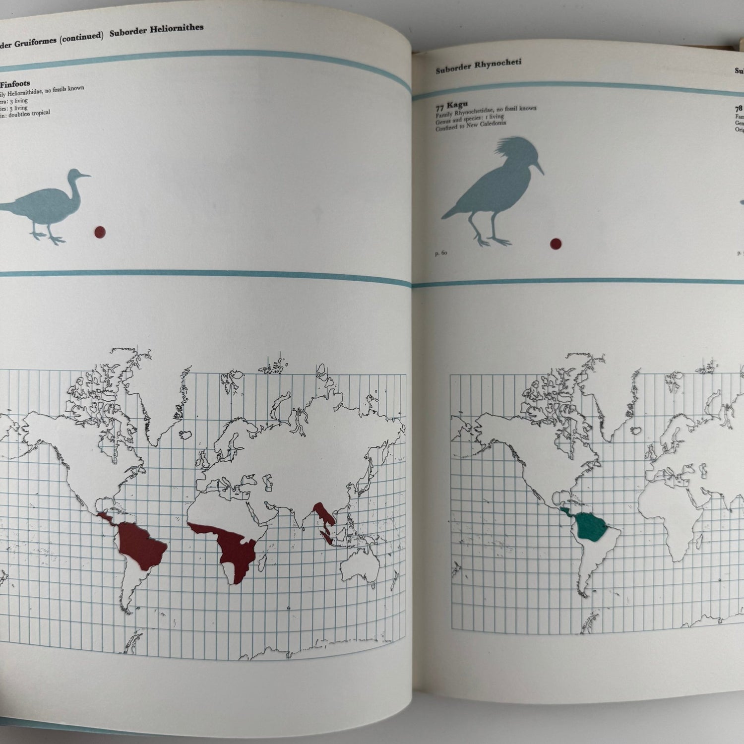 The World of Birds, James Fisher and Roger Tory Peterson, 1964 Illustrated Oversized Hardcover - Pretty Old Books