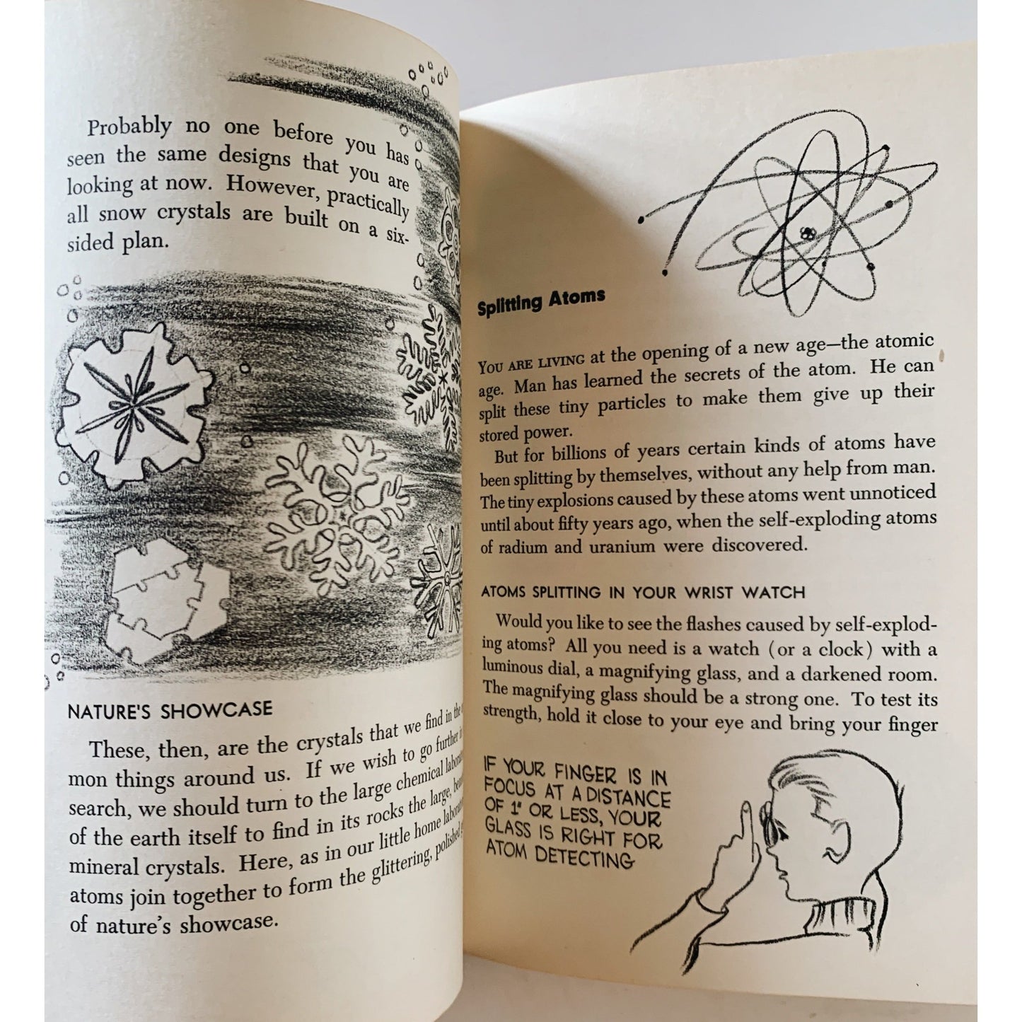 Through the Magnifying Glass, 1954 Hardcover Illustrated Science Book for Kids - Pretty Old Books