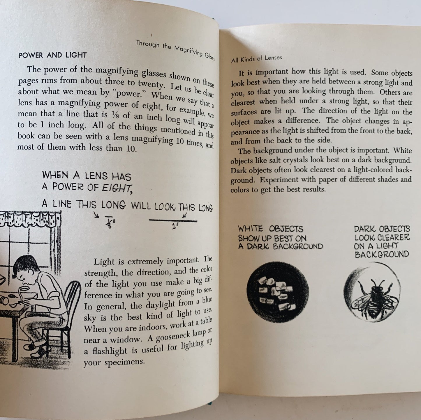 Through the Magnifying Glass, 1954 Hardcover Illustrated Science Book for Kids - Pretty Old Books