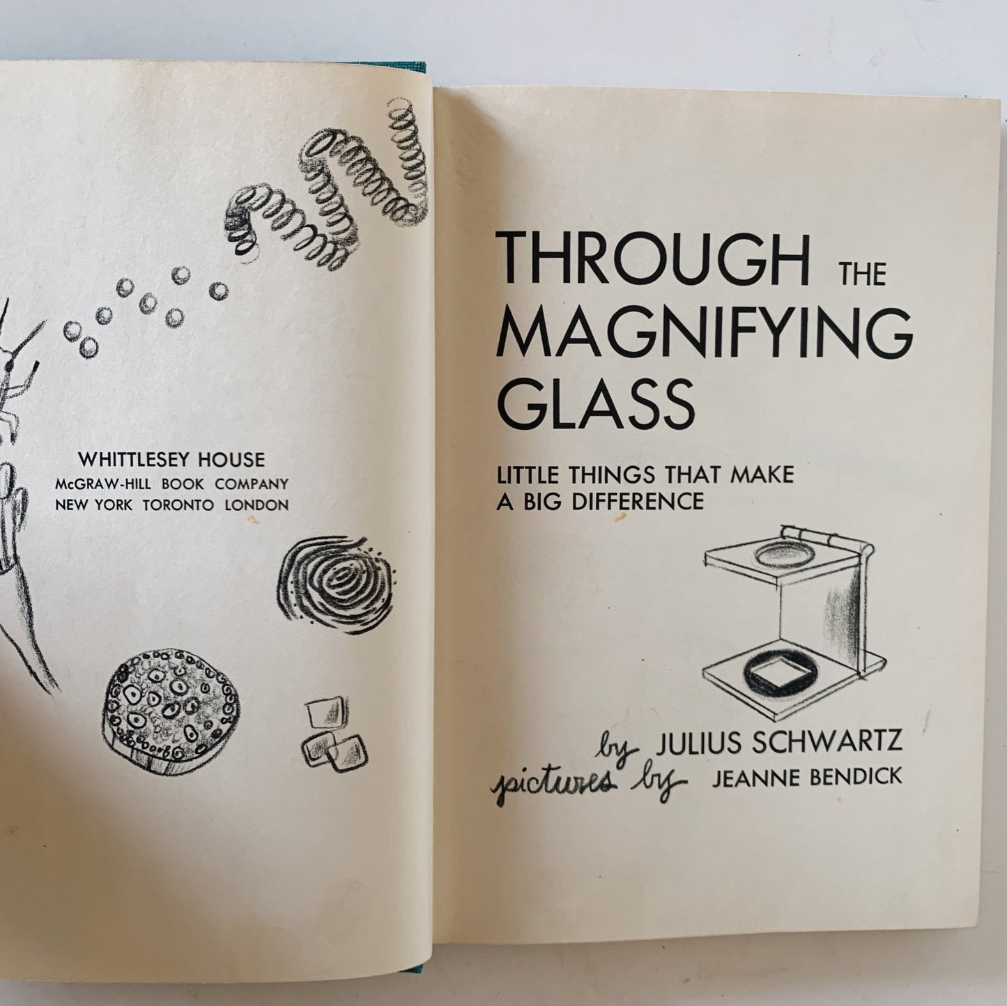 Through the Magnifying Glass, 1954 Hardcover Illustrated Science Book for Kids - Pretty Old Books