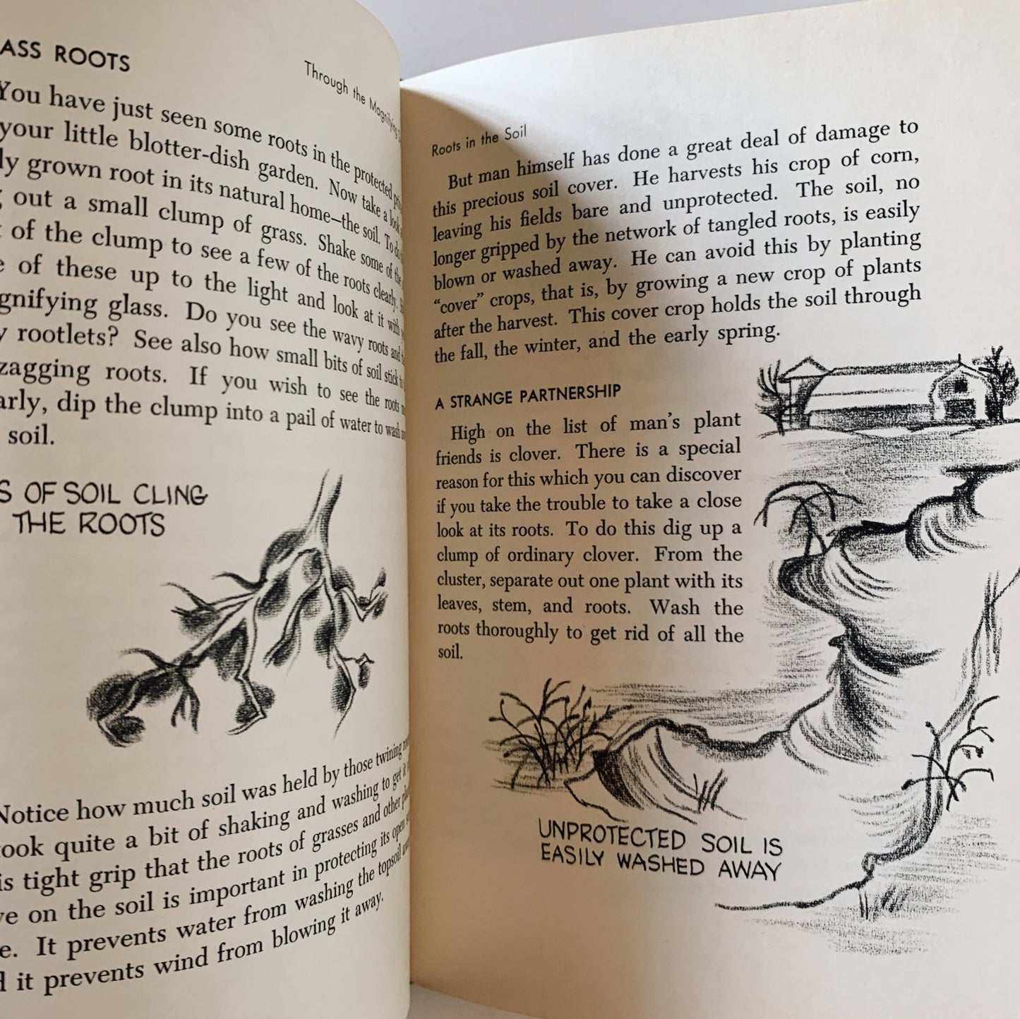 Through the Magnifying Glass, 1954 Hardcover Illustrated Science Book for Kids - Pretty Old Books