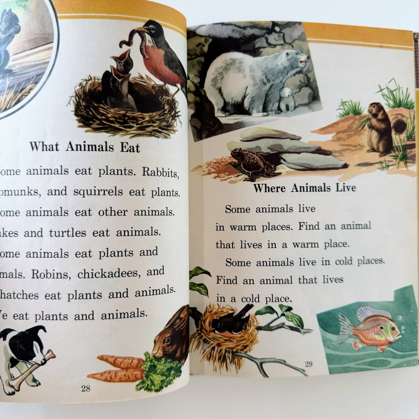 Through the Year, Scientific Living Series, Illustrated Mid Century School Book, 1947 - Pretty Old Books