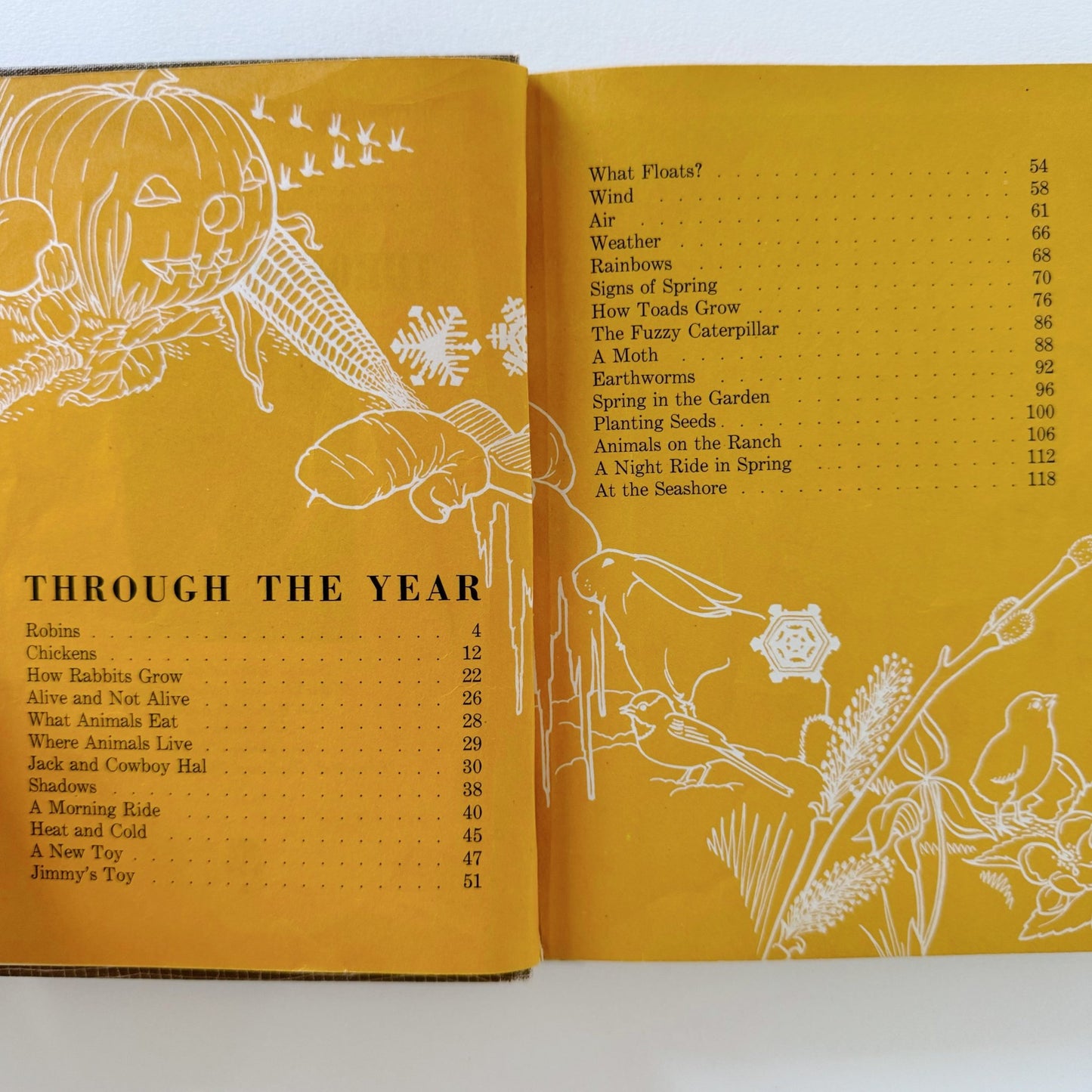 Through the Year, Scientific Living Series, Illustrated Mid Century School Book, 1947 - Pretty Old Books