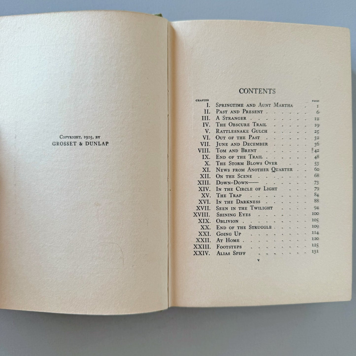 Tom Slade at Bear Mountain, Percy Keese Fitzhugh, Boy Scout Book, 1925 - Pretty Old Books