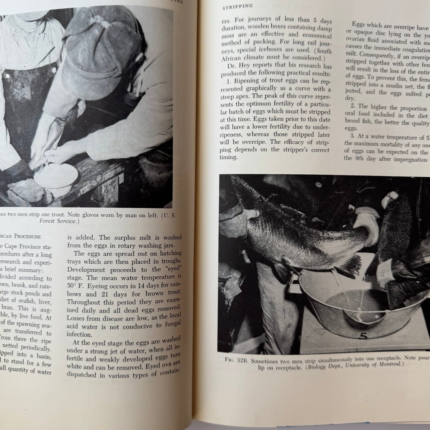 Trout Farming: First Complete Textbook on Trout Farming, David B. Greenberg, 1960 - Pretty Old Books