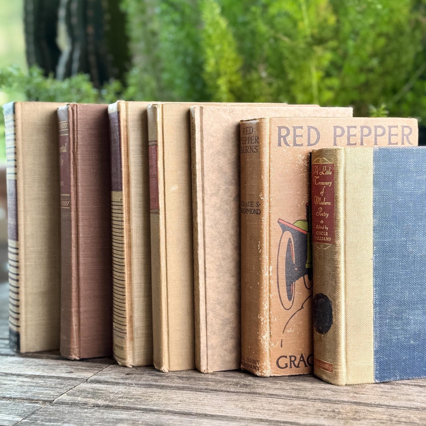 Vintage Copper, Tan, Brown, and Red Books for Decor - Pretty Old Books