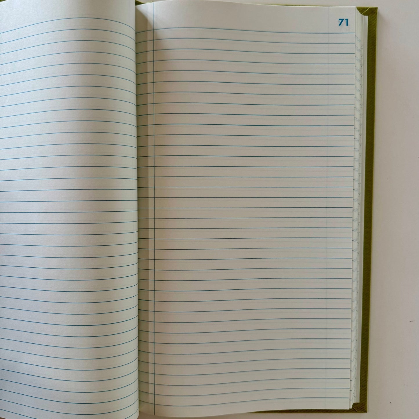 Vintage Federal Supply Service Record Book, 13 x 7.5 Inches, 300 pages - Pretty Old Books