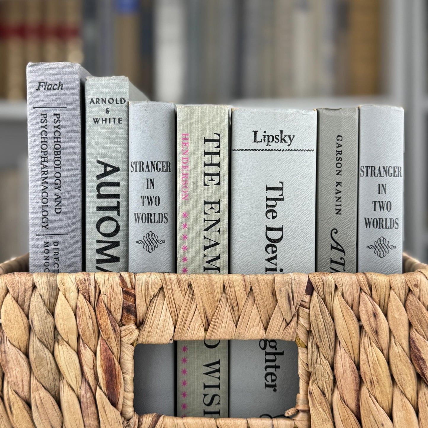 Vintage Gray and Black Book Set, Mid - Century Modern Books For Shelf Styling - Pretty Old Books