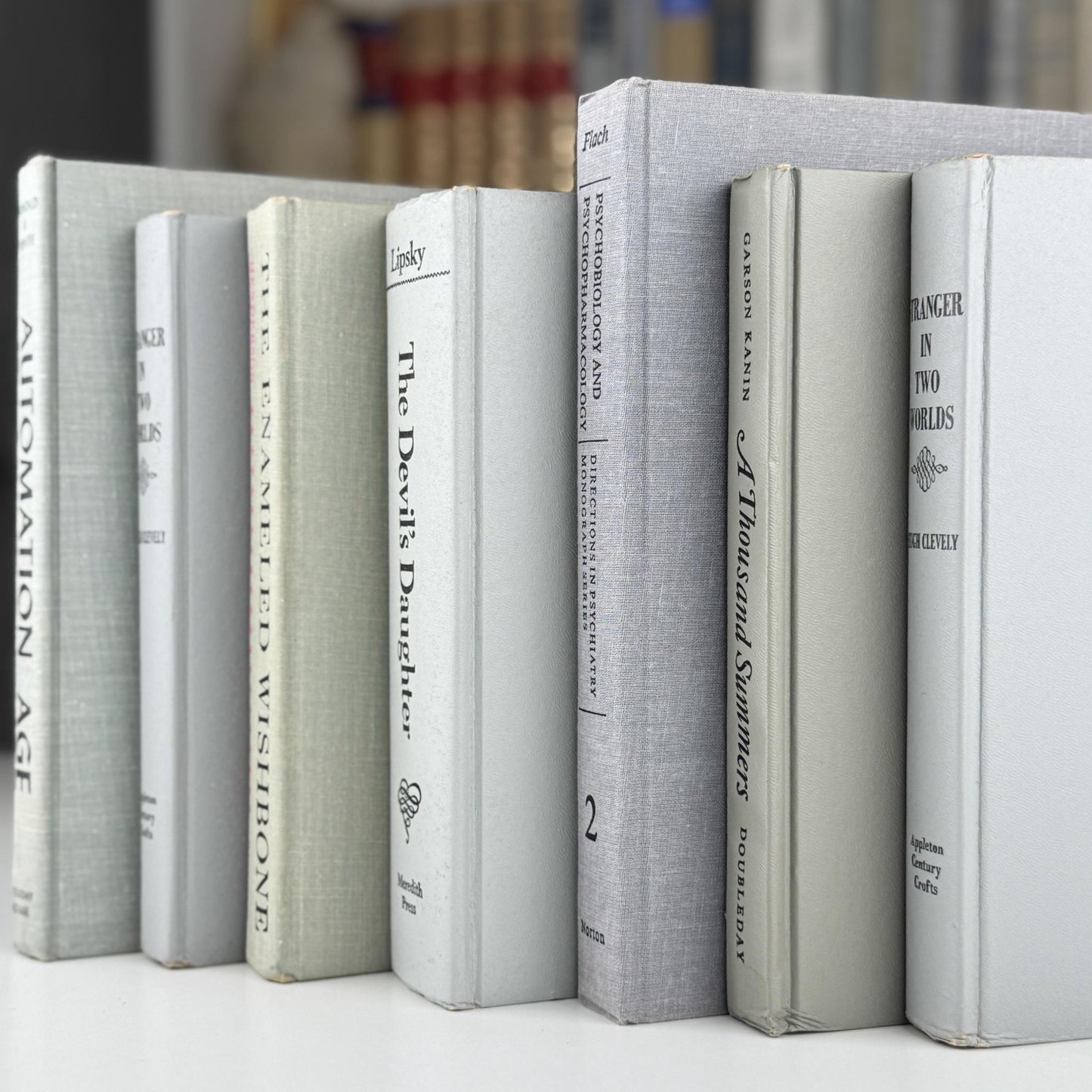 Vintage Gray and Black Book Set, Mid - Century Modern Books For Shelf Styling - Pretty Old Books