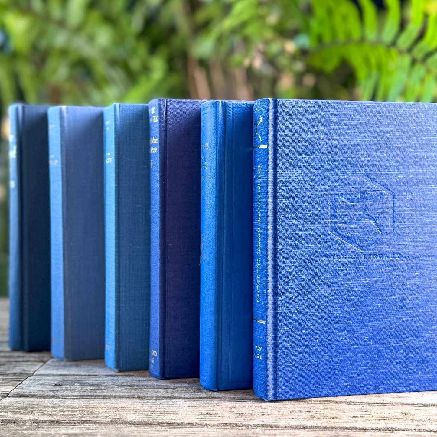 Vintage Indigo and Navy Blue Book Smaller Books - Pretty Old Books