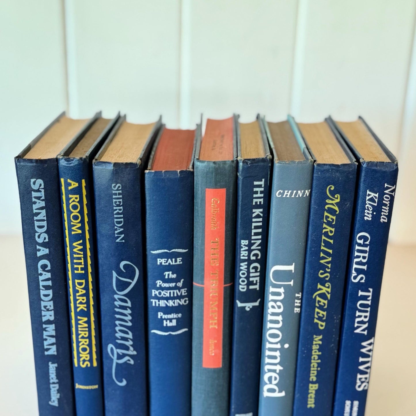 Vintage Indigo Navy Blue Retro Book Set for Shelf Styling - Pretty Old Books