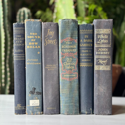Vintage Mid Century Denim Blue Vintage Book Bundle - Pretty Old Books