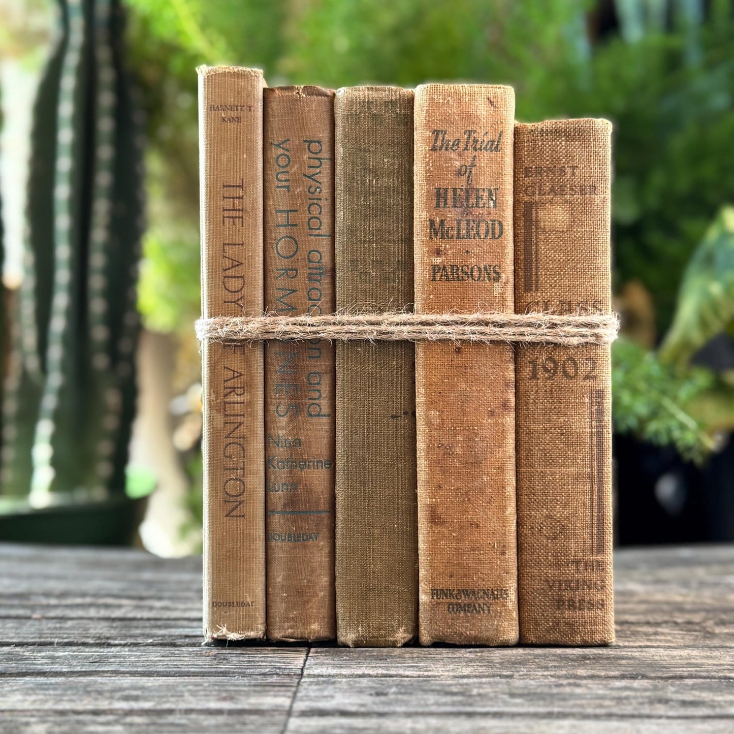 Vintage Neutral Shabby Book Bundle - Pretty Old Books