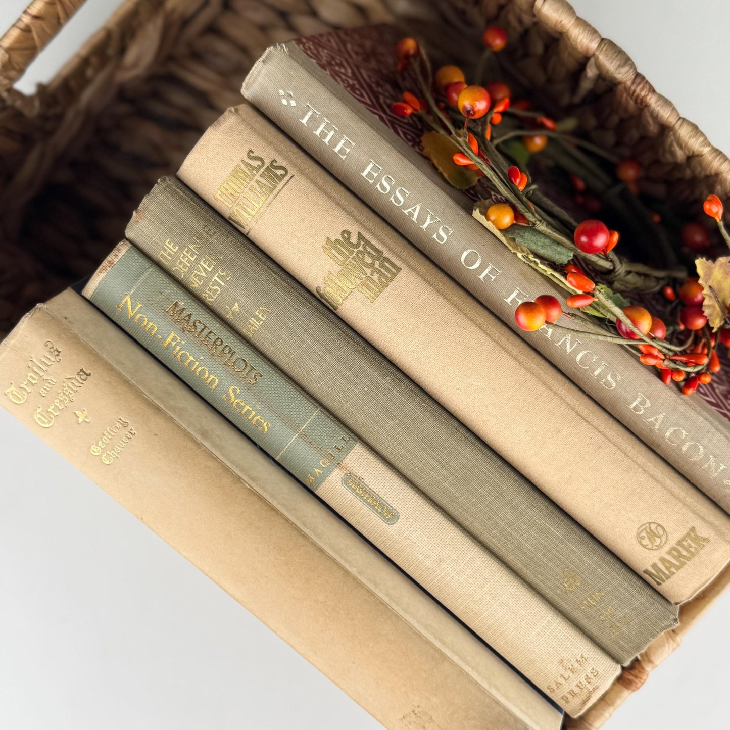 Vintage Neutral Tan and Cream Book Set for Bookshelf Decor - Pretty Old Books