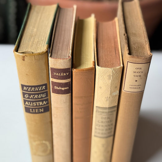 Vintage Neutral Tan Minimalist European and American Book Set for Bookshelf Decor - Pretty Old Books
