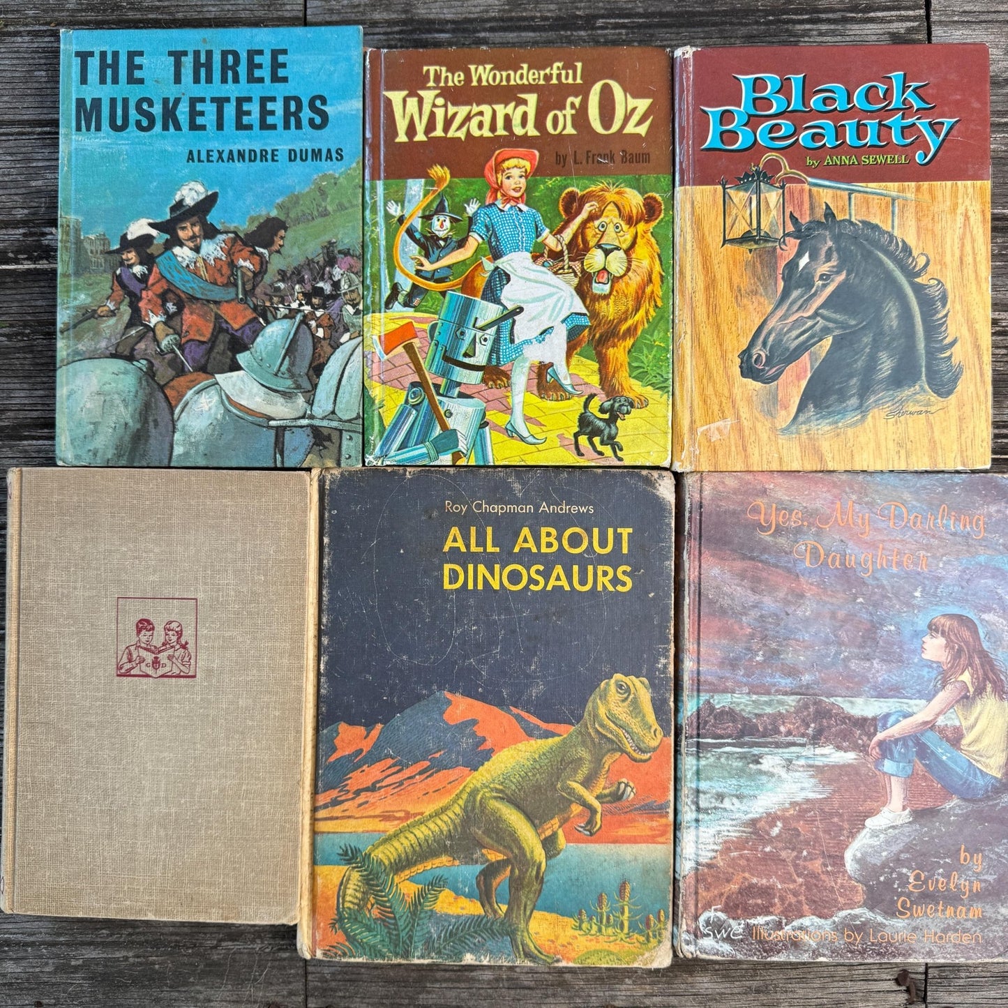 Vintage Rustic Neutral Children's Book Bundle For Shelf Styling - Pretty Old Books