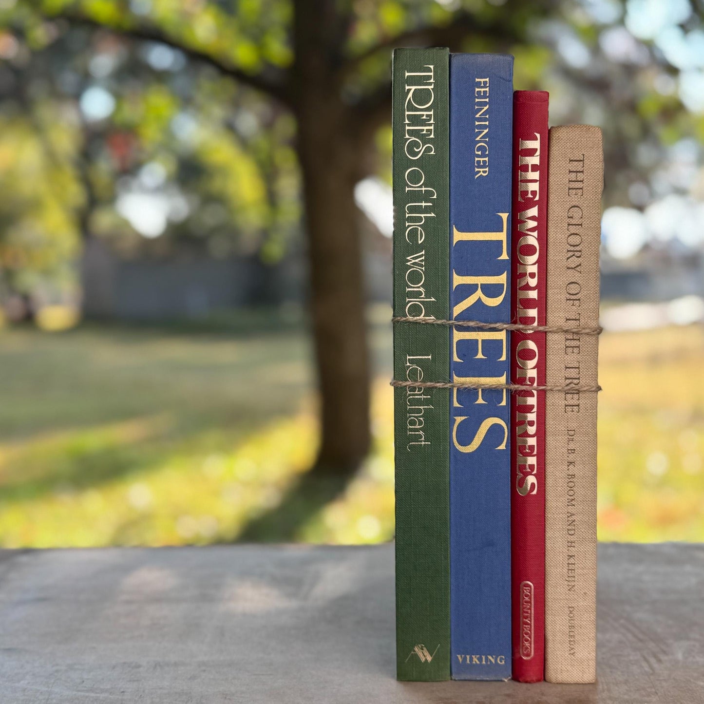 Vintage Tree - Themed Coffee Table Book Bundle - Pretty Old Books