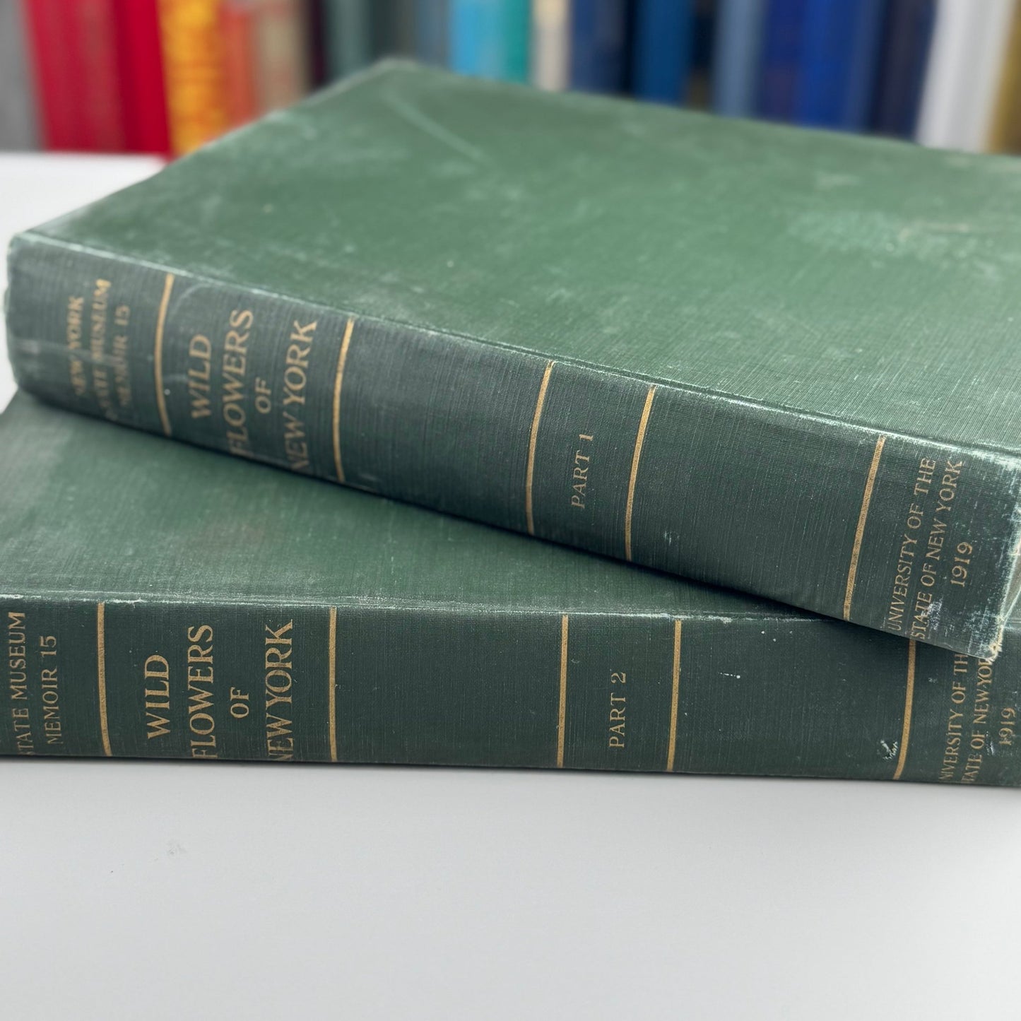 Wild Flowers of New York, 1919, Two Volume Set, NY State Museum Memoir 15 - Pretty Old Books
