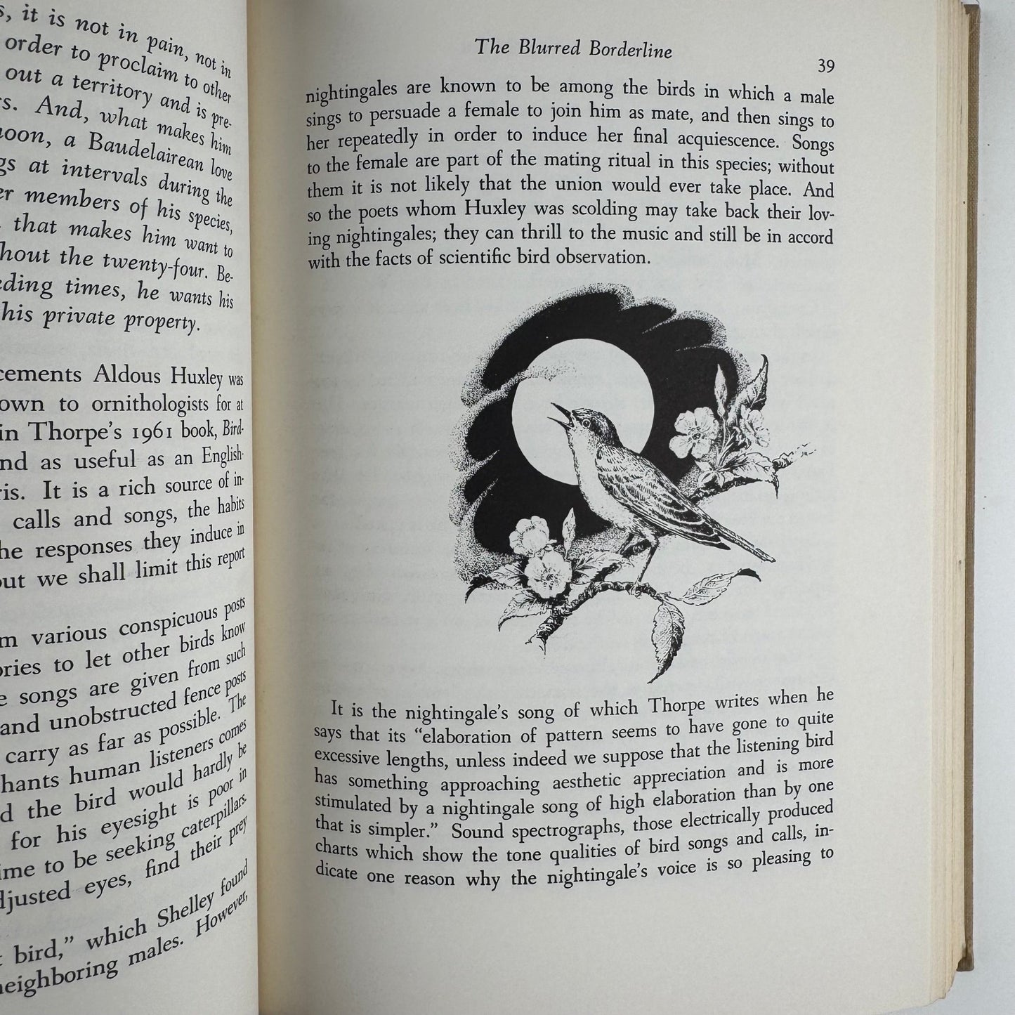 Wild Heritage, Sally Carrighar, Illustrated Animal Behavior Hardcover, 1965 - Pretty Old Books