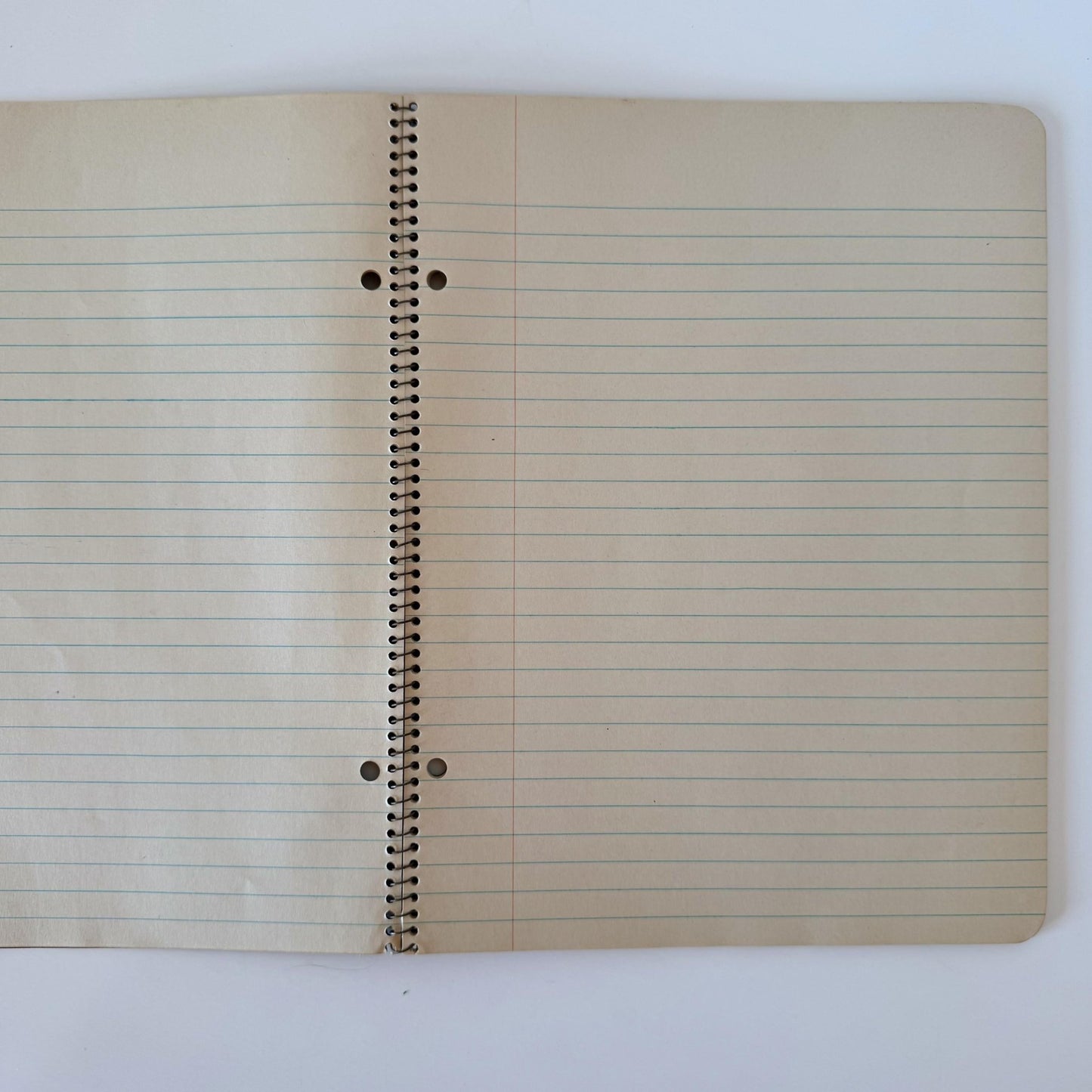 WriteRight Composition Theme - Ruled Book, Vintage Blank Notebook Paper, No. W 1539 - Pretty Old Books