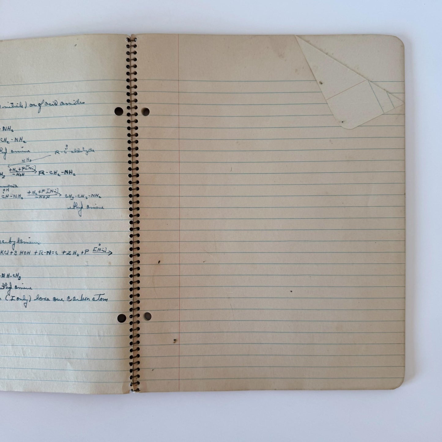 WriteRight Composition Theme - Ruled Book, Vintage Blank Notebook Paper, No. W 1539 - Pretty Old Books