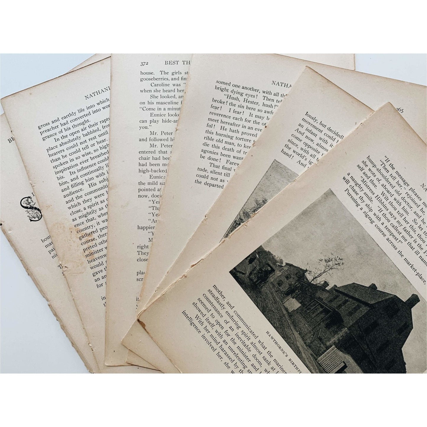 Book Paperie for Crafting, Junk Journal Supplies, Antique and Vintage Paper Pack - Pretty Old Books