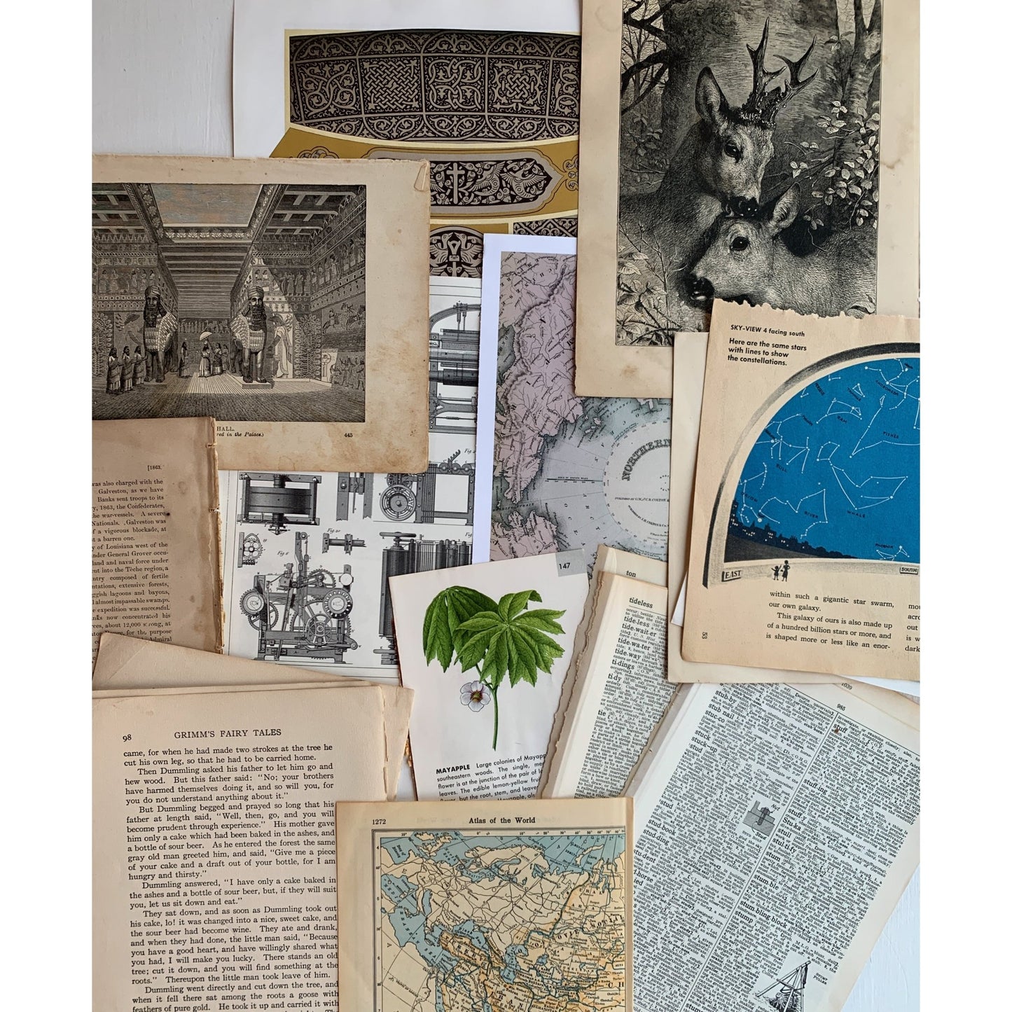 Book Paperie for Crafting, Junk Journal Supplies, Antique and Vintage Paper Pack - Pretty Old Books