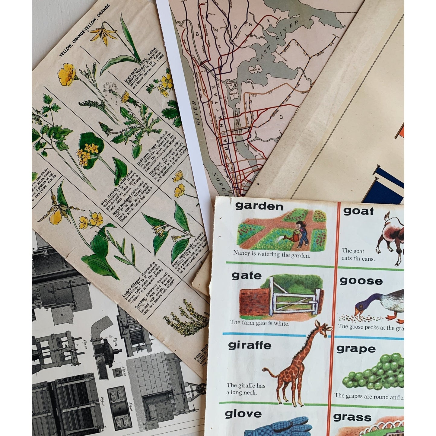 Book Paperie for Crafting, Junk Journal Supplies, Antique and Vintage Paper Pack - Pretty Old Books