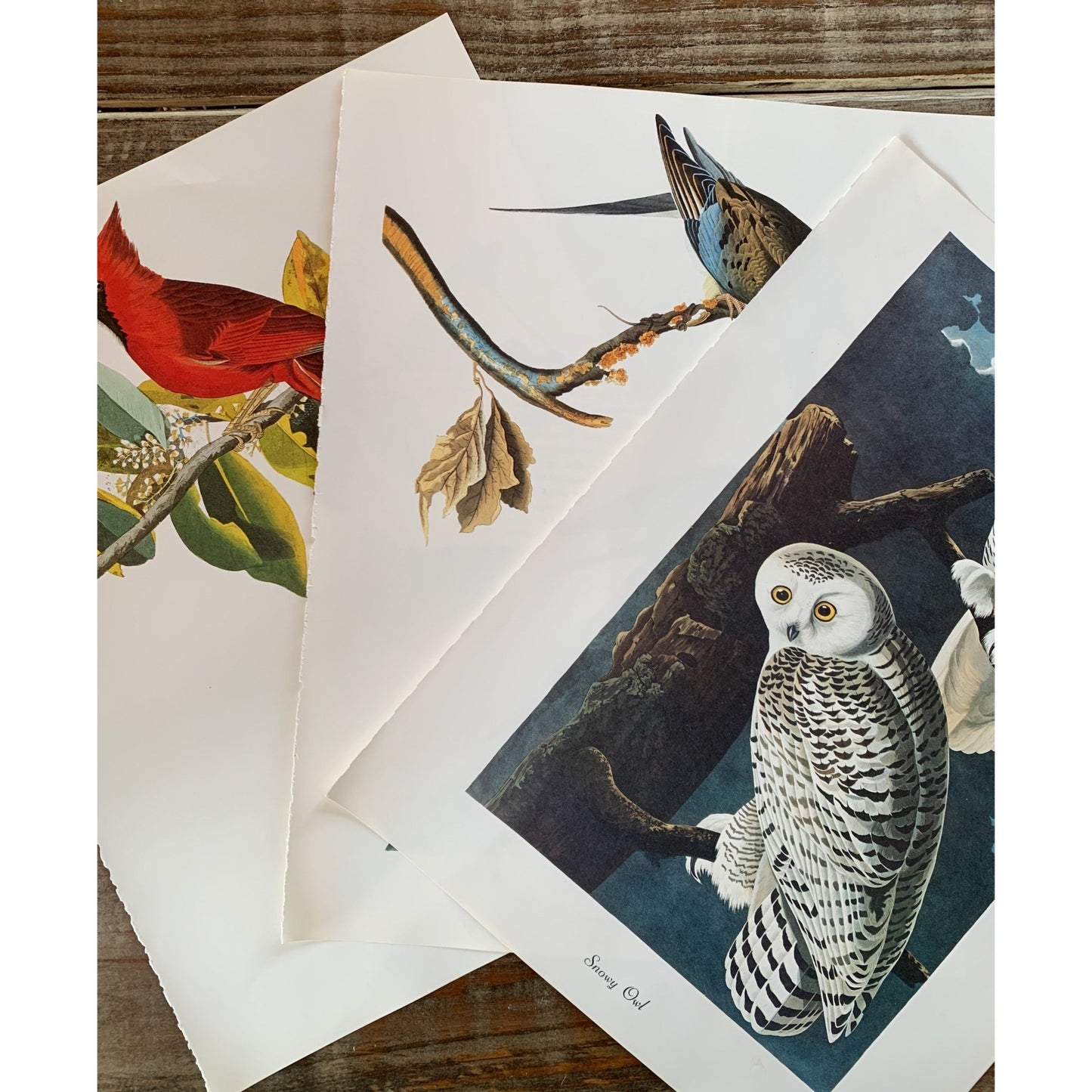 Book Plates for Framing, Vintage and Antique Book Art Prints, 7 pieces - Pretty Old Books