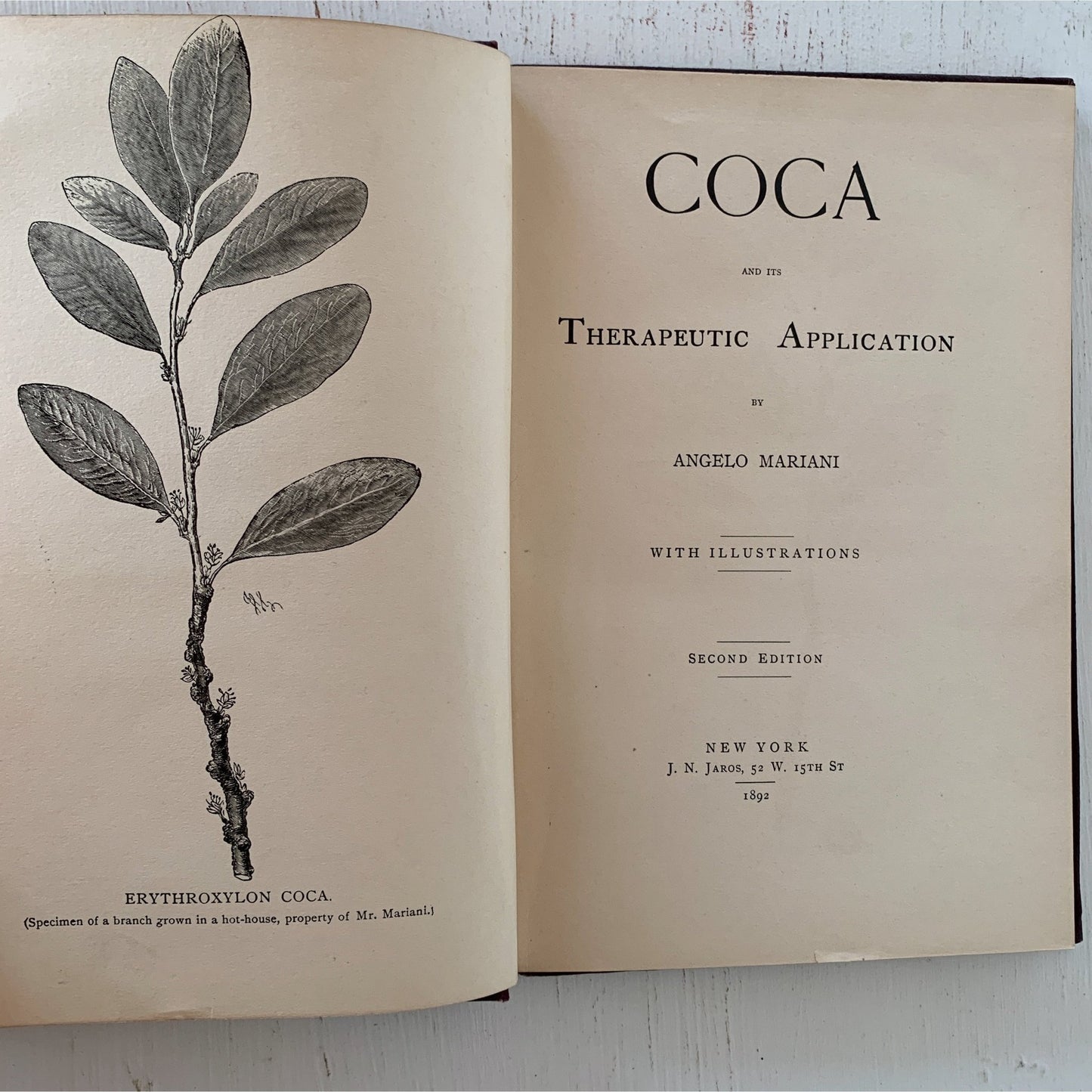 Coca and Its Therapeutic Application, Second Edition, 1892, Hardcover, Rare - Pretty Old Books