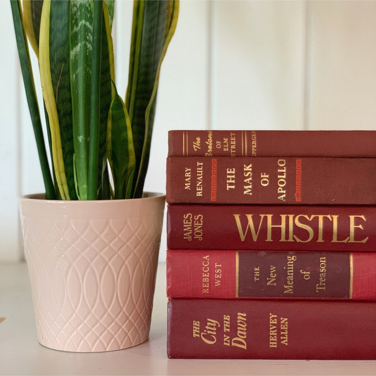 Dark Red Vintage Books, Instant Library, Decorative Books, Rainbow Bookshelf, Aesthetic Books - Pretty Old Books