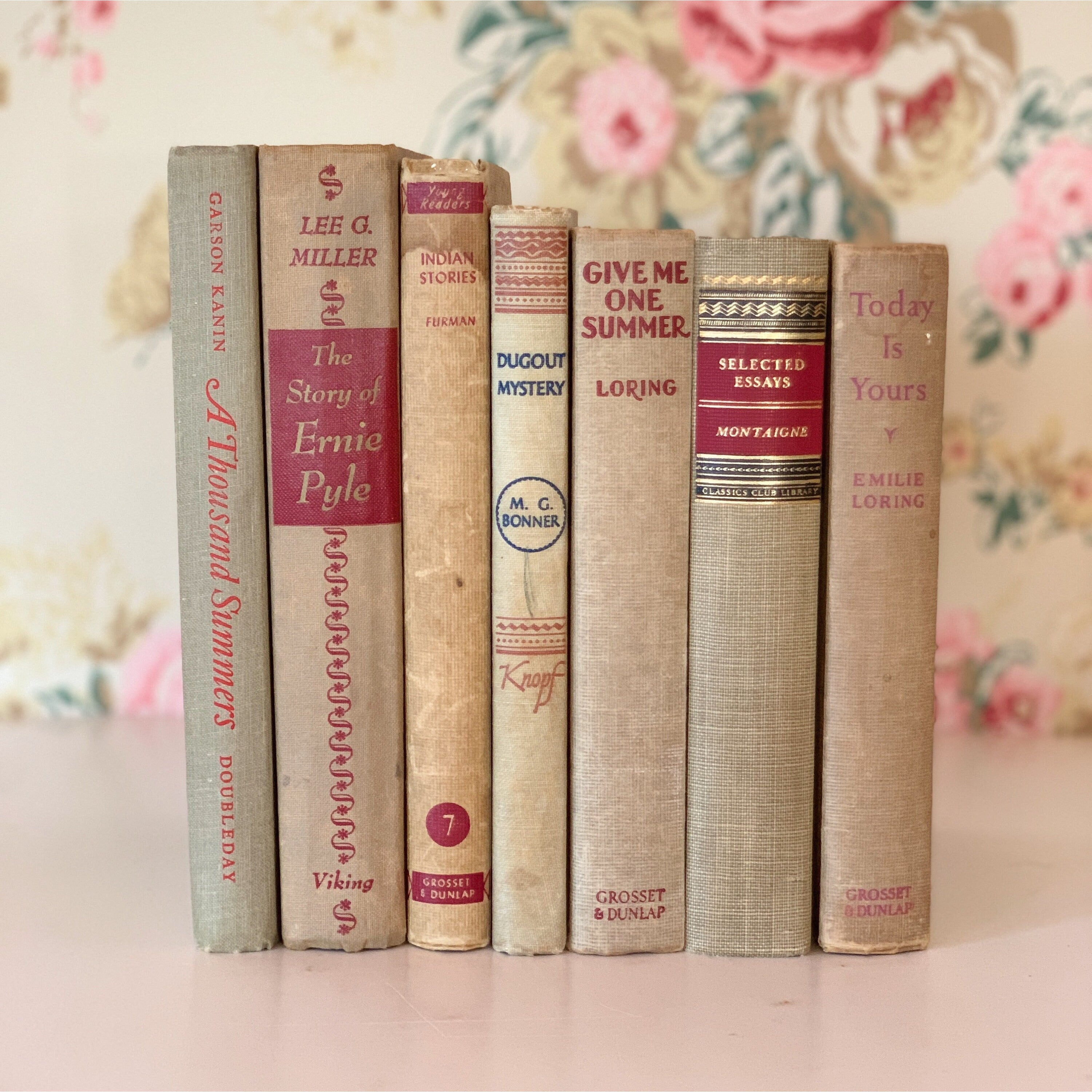 Decorative Beige, Blue, Red, and Gray Vintage Books for Decor