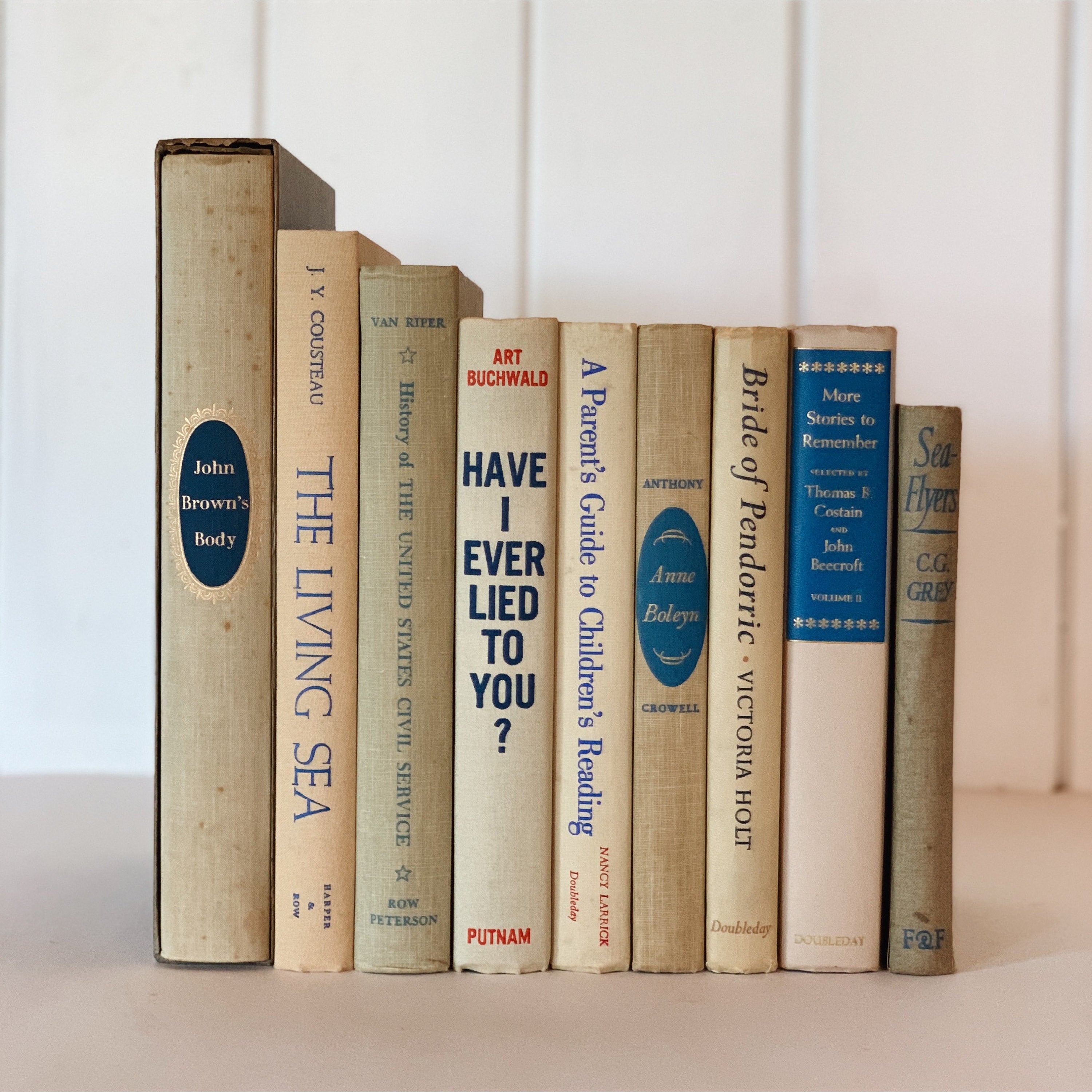 Decorative Beige, Blue, Red, and Gray Vintage Books for Decor