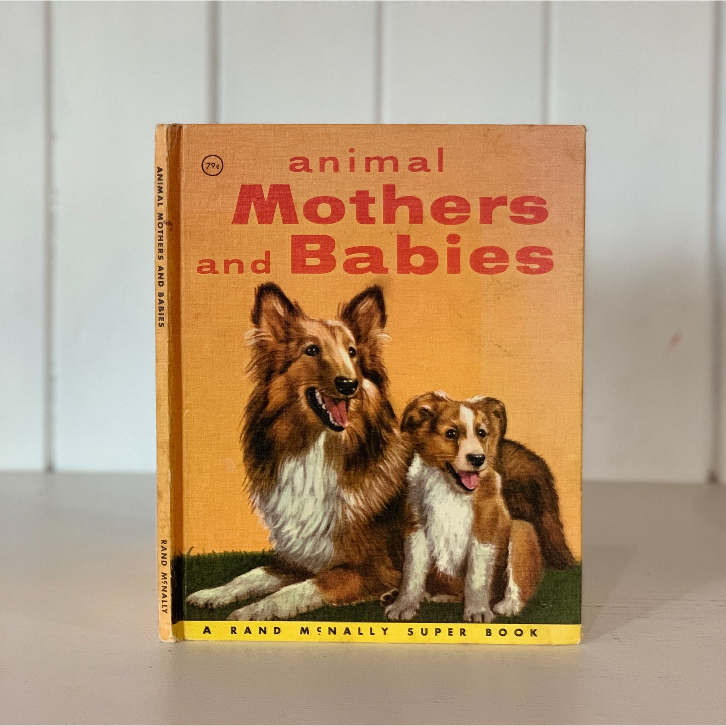 Animal Mothers and Babies, A Rand McNally Super Book, Hardcover, 1956
