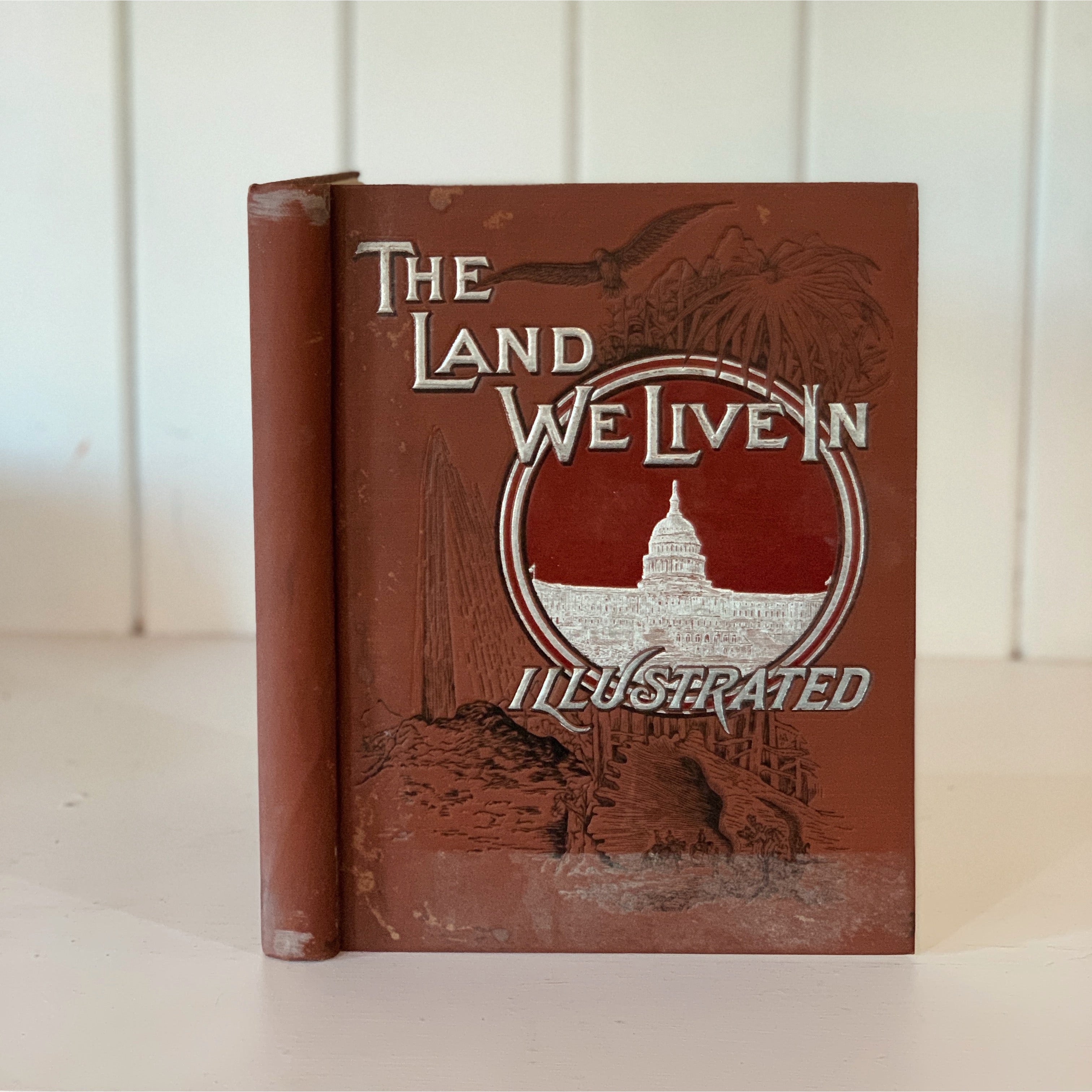 Large Illustrated Hardcovers - 20 Books $40 