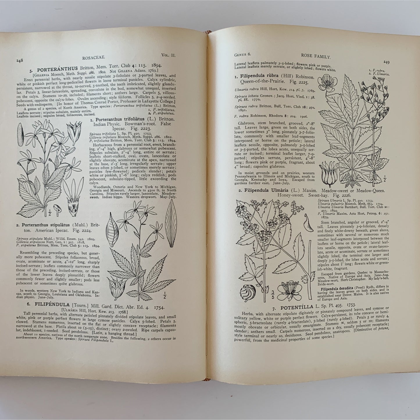 An Illustrated Flora of the United States, Canada, and the British Possessions, 1936