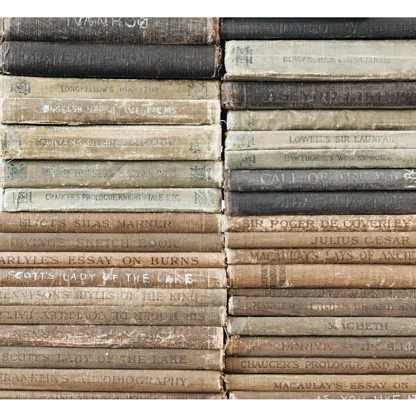 Vintage Decorative Books By Color for Shelf Styling, Real Books for Decorating, Home Staging, Decor - Pretty Old Books