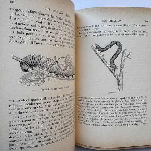 November 26, 2025: French Books and Fancy Finds - Pretty Old Books