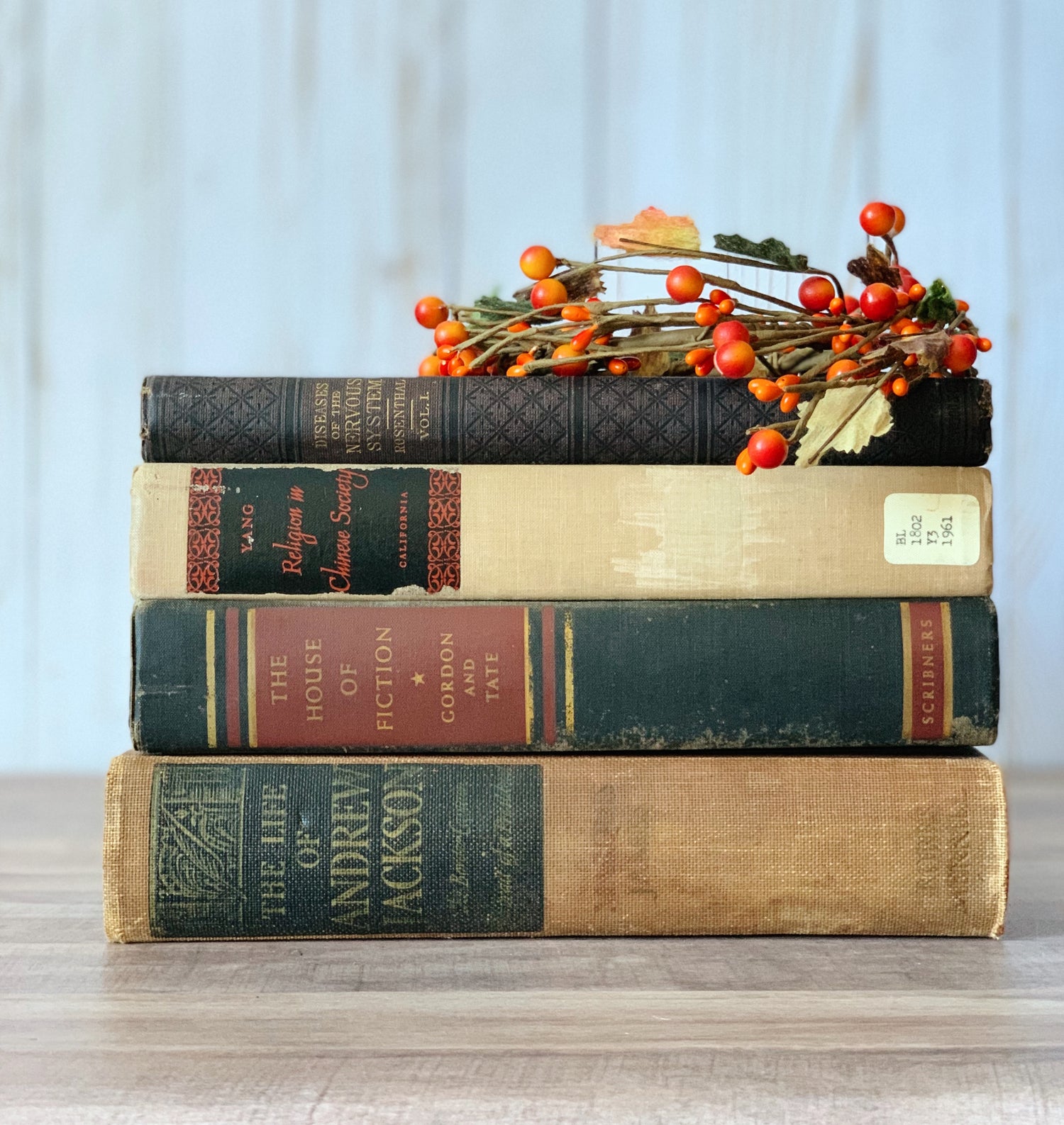 Vintage Book Bundles By Color and Theme