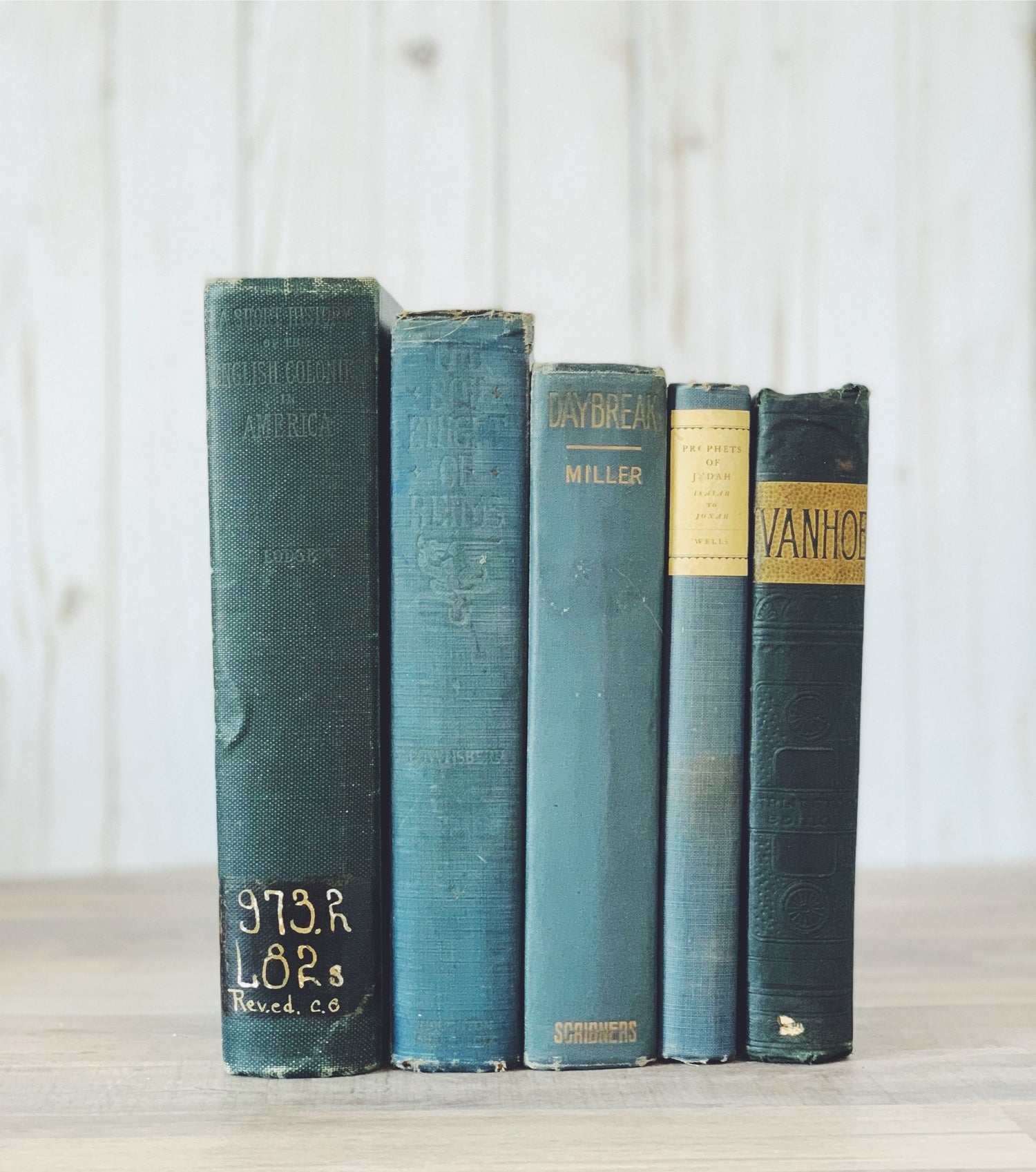 Blue Vintage Book Bundles