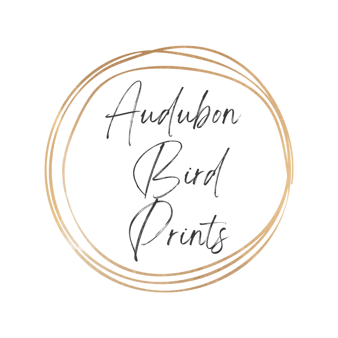 Vintage Audubon Bird Book Plates