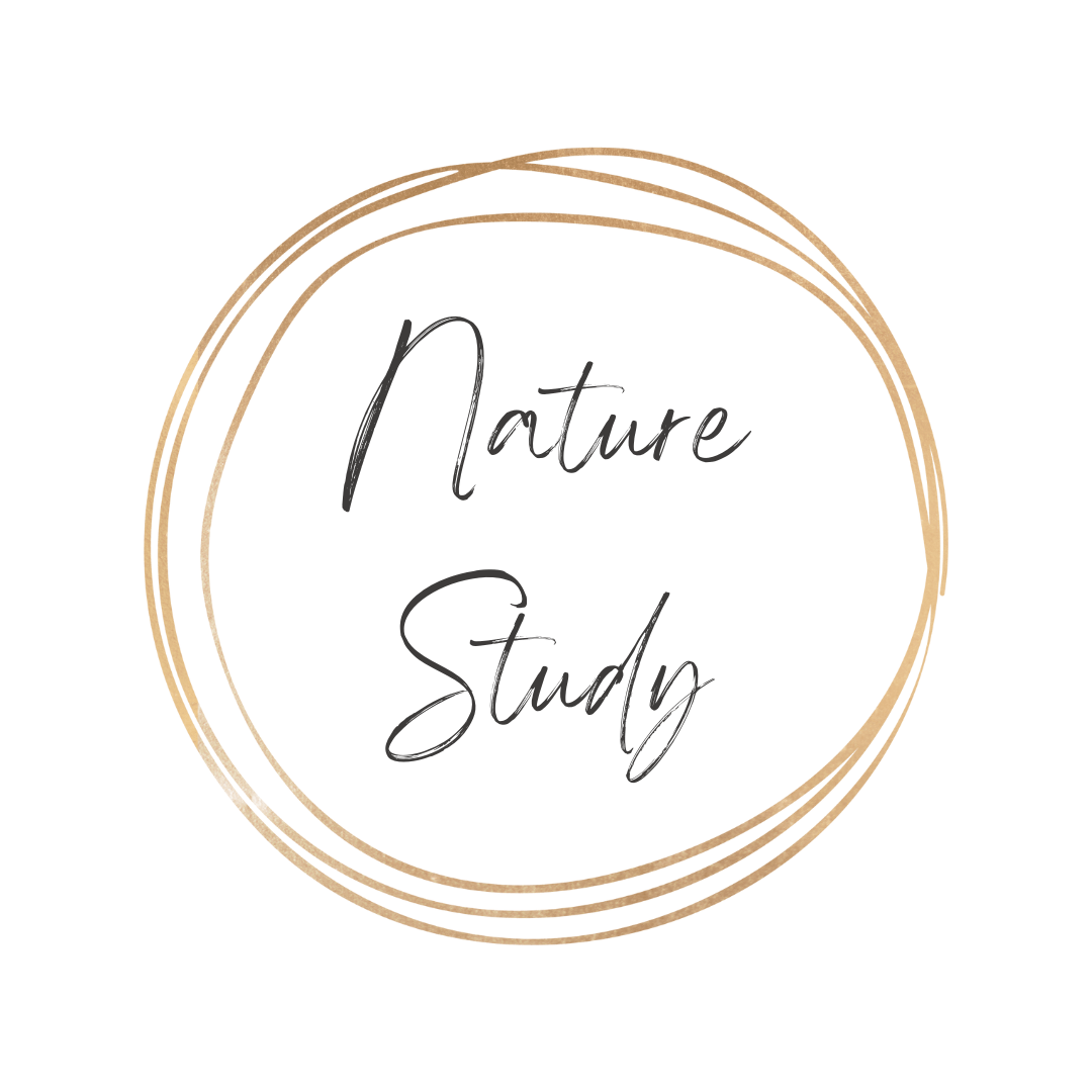 Vintage Juvenile Nature Study Books