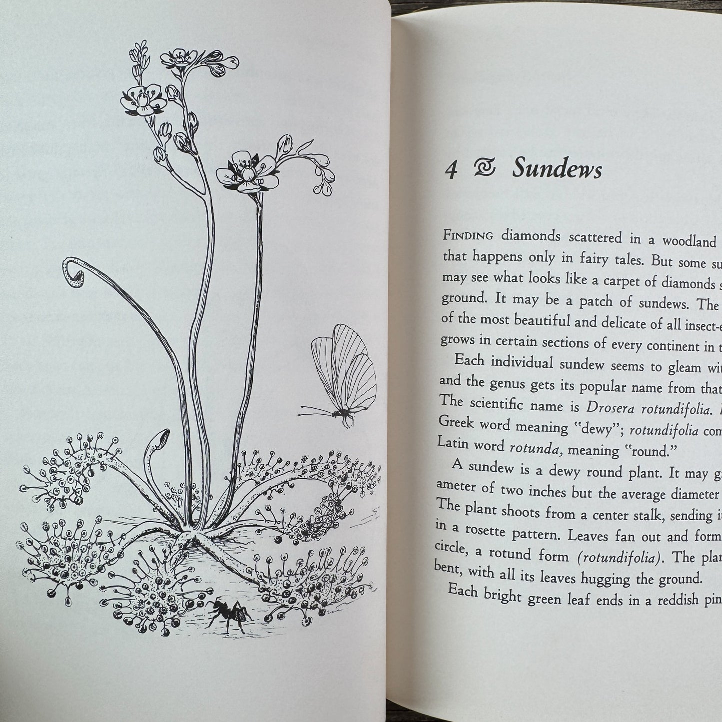 Insect-Eating Plants, Lynn and Gray Poole, 1963