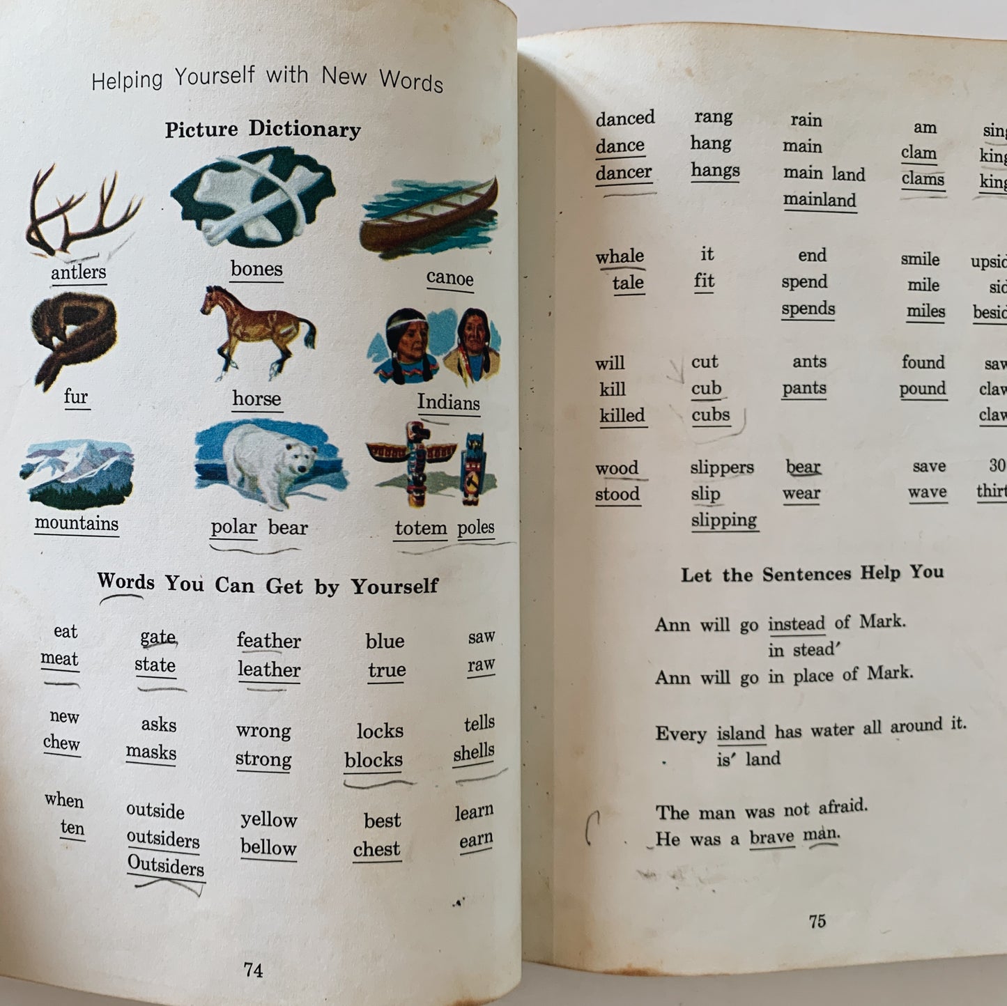 From Fins to Feathers, Mid Century 1966 Science and Reading School Book