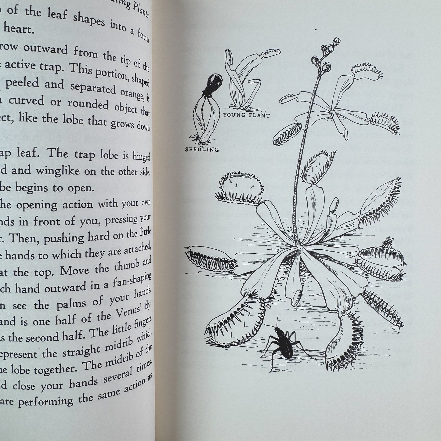 Insect-Eating Plants, Lynn and Gray Poole, 1963