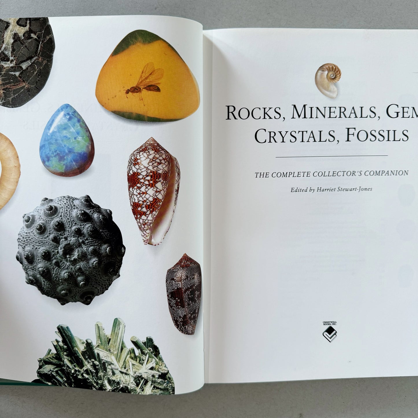 Rocks, Minerals, Gems, Crystals, Fossils - The Complete Collector's Companion, 1995 Hardcover