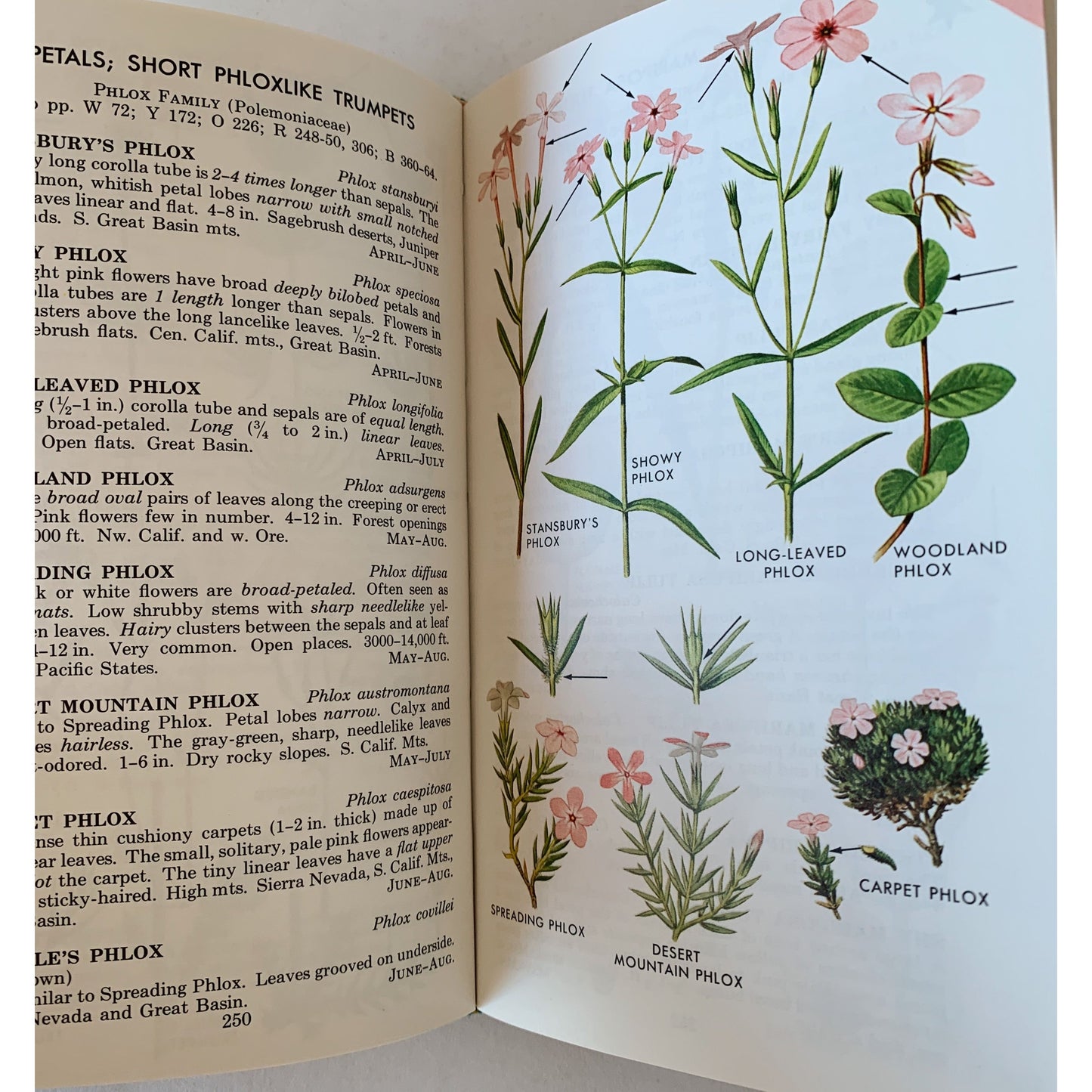 A Field Guide to Pacific States Wildflowers, 1976, Roger Tory Peterson, Hardcover
