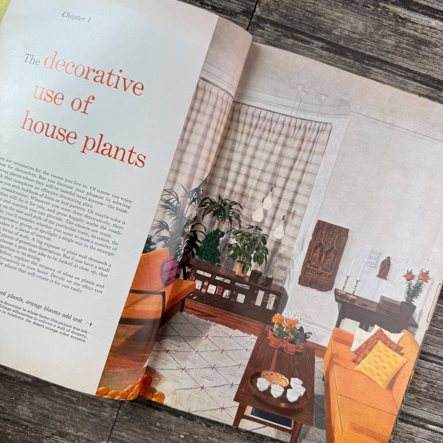Better Homes and Gardens Houseplants, 1959